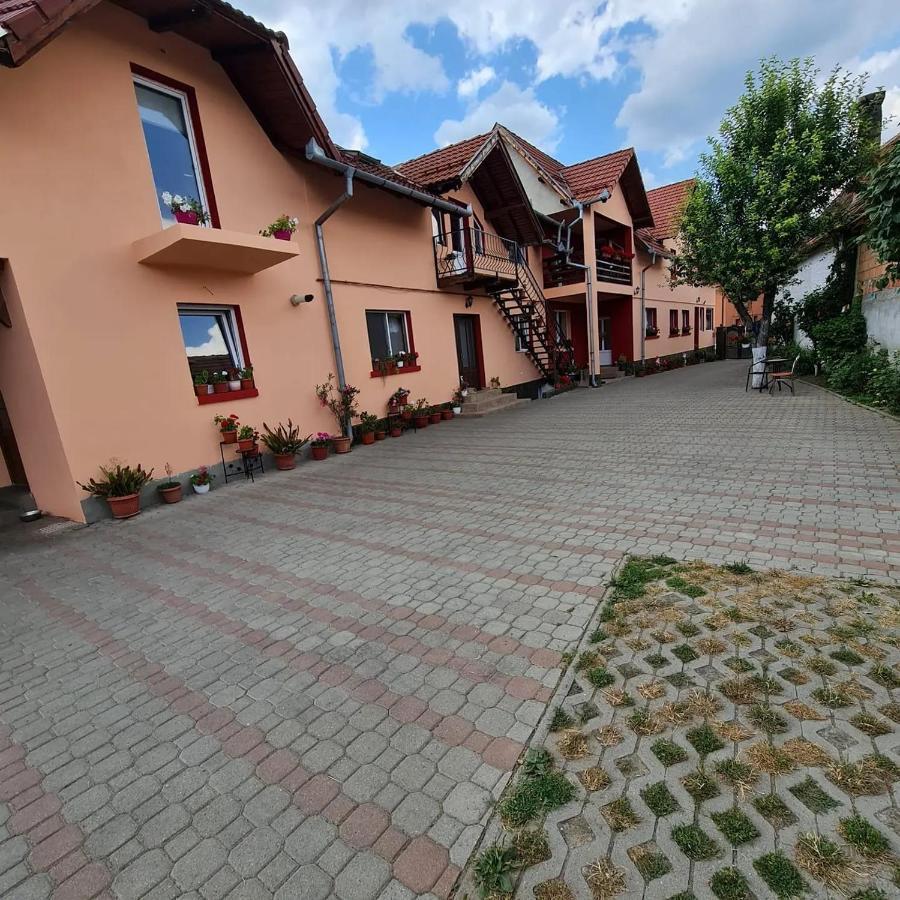 Vila Vladut Зэрнешти Экстерьер фото
