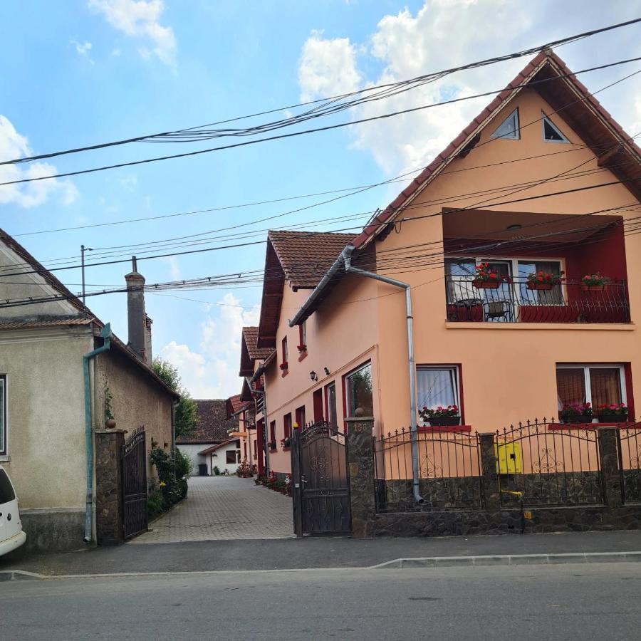 Vila Vladut Зэрнешти Экстерьер фото