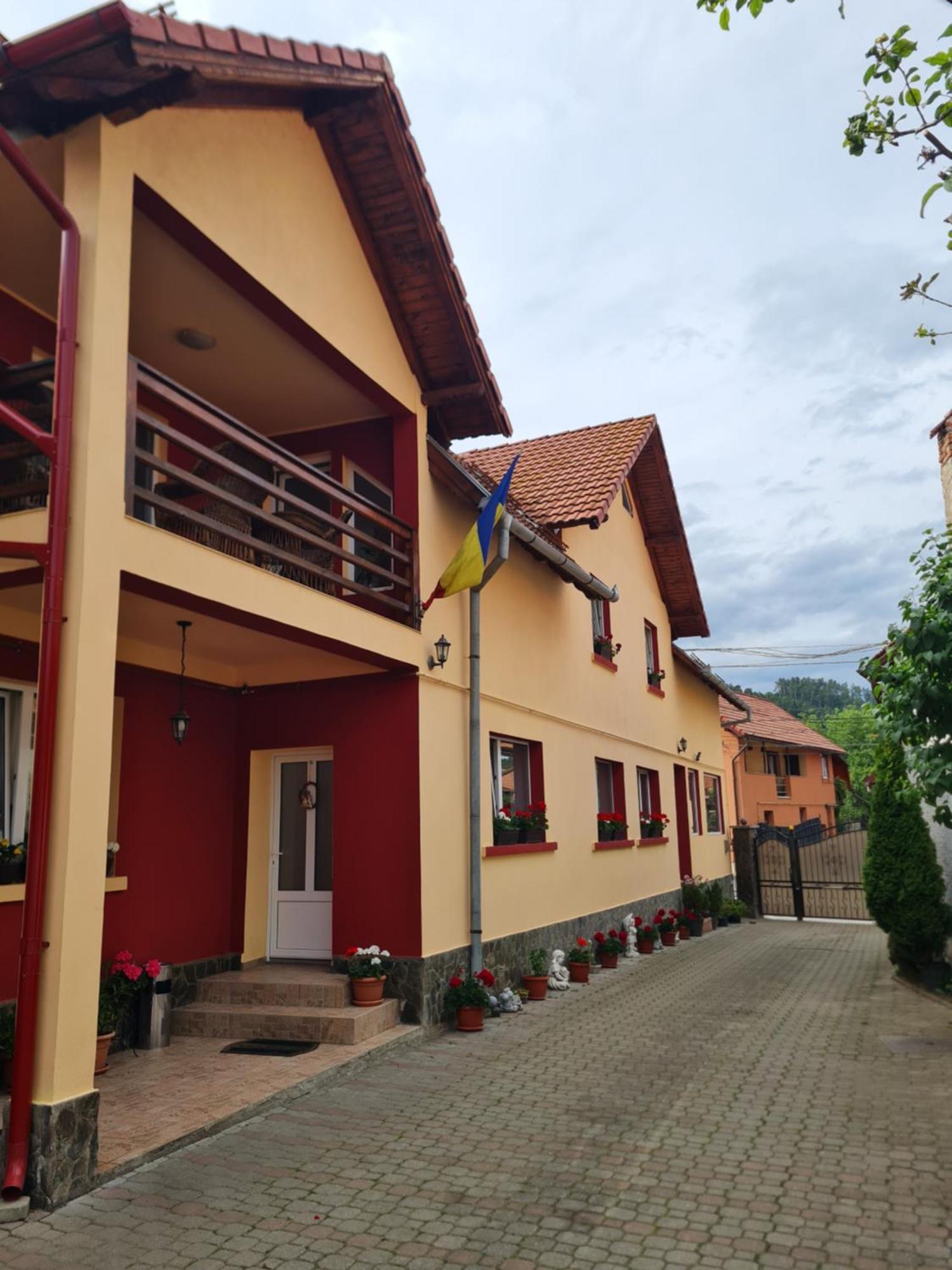 Vila Vladut Зэрнешти Экстерьер фото